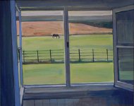 Horse through window